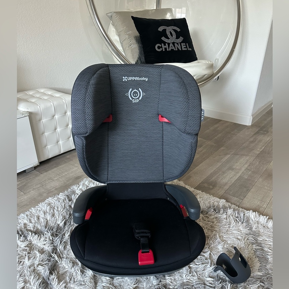 UPPAbaby Black and Gray Car Seat